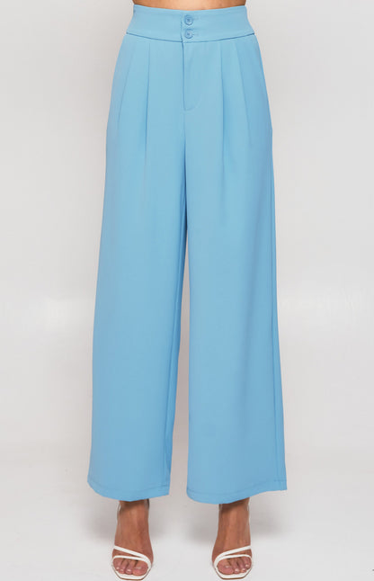 Wide Waistband Double Pleated Pants