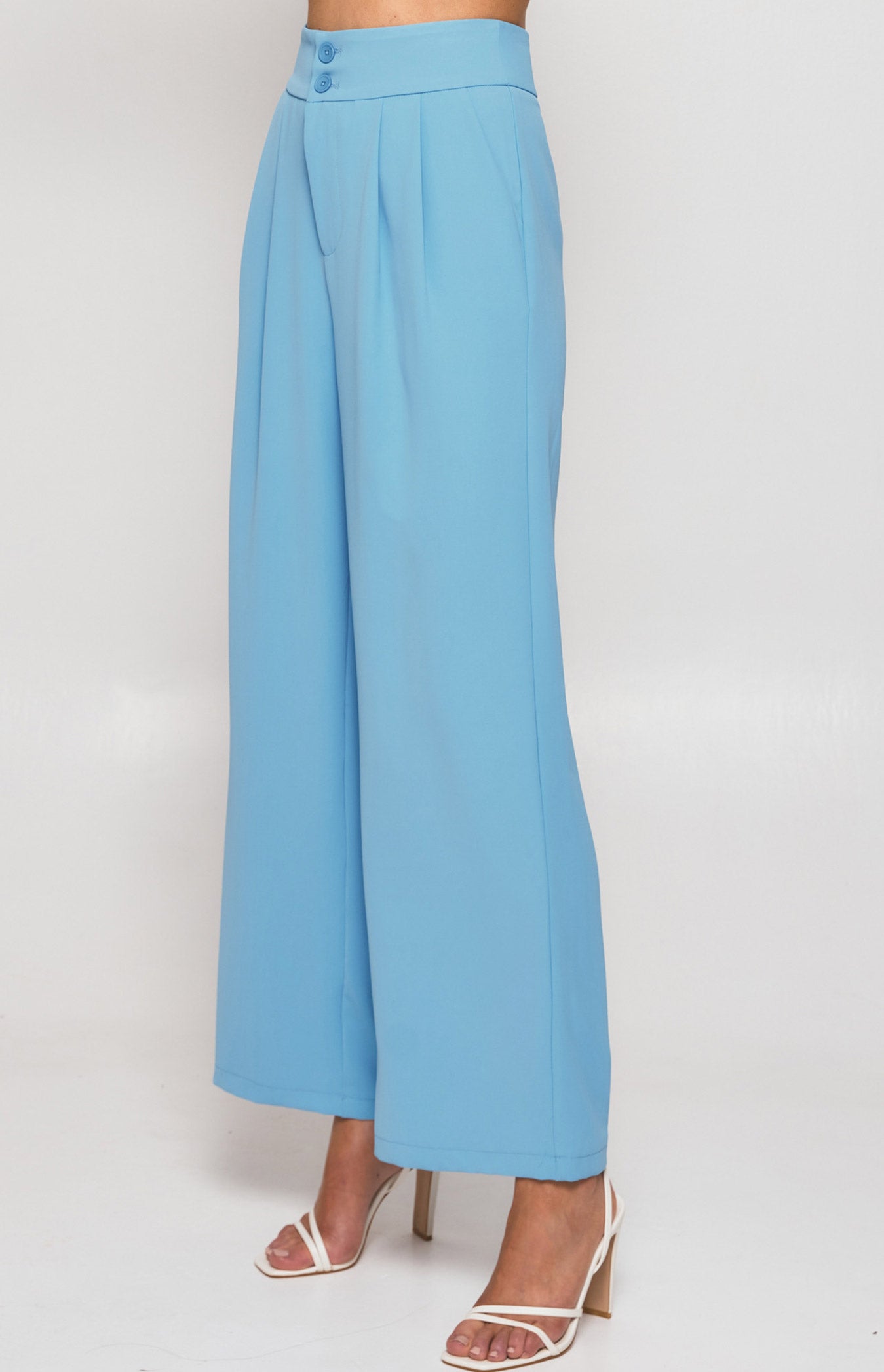 Wide Waistband Double Pleated Pants