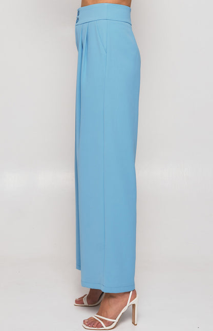 Wide Waistband Double Pleated Pants