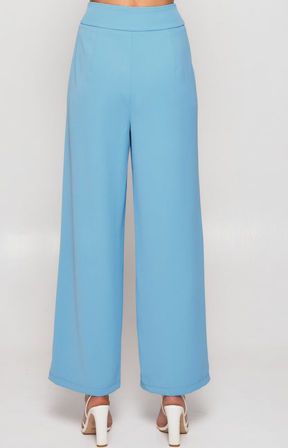 Wide Waistband Double Pleated Pants