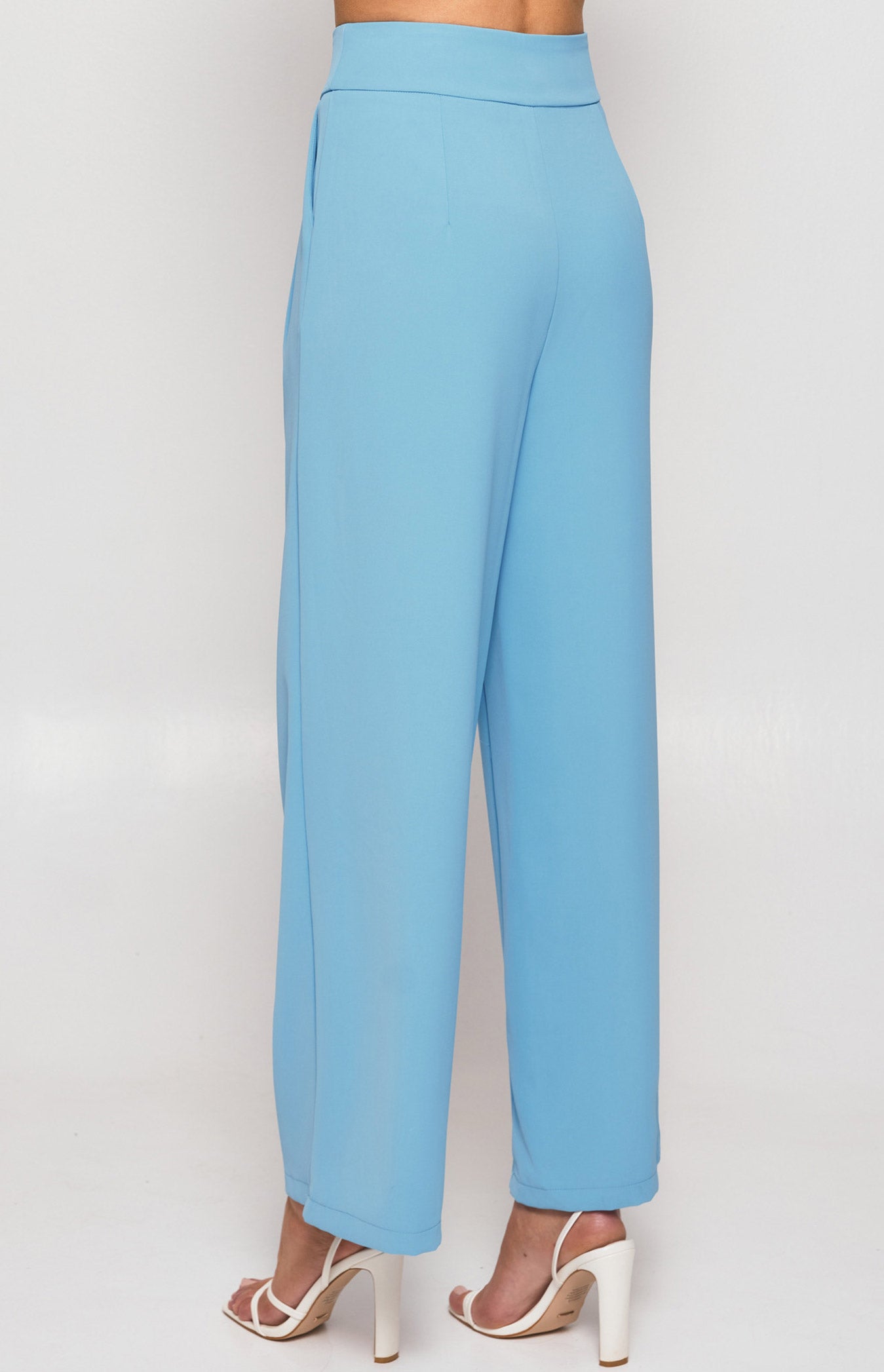 Wide Waistband Double Pleated Pants