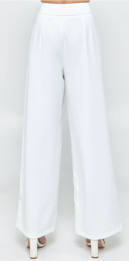 Wide Waistband Double Pleated Pants