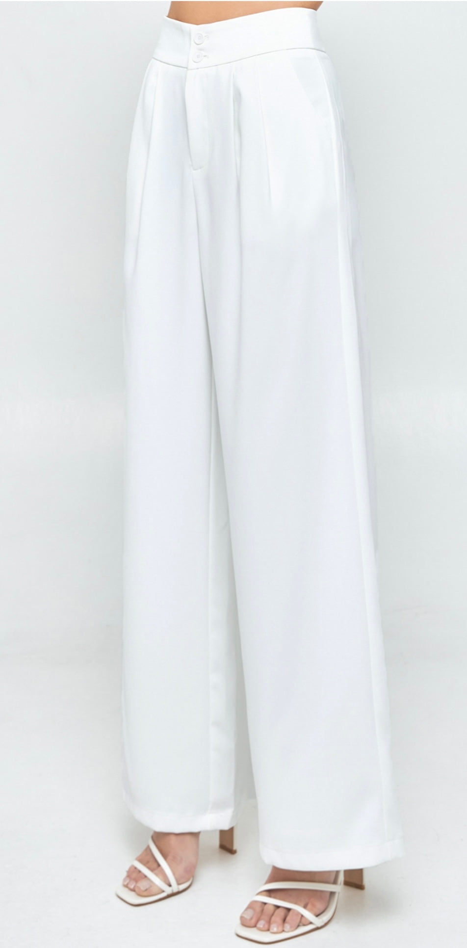 Wide Waistband Double Pleated Pants